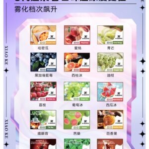 XIAOKE 可替換式電子煙 (相容 RELX6代) (精選款)